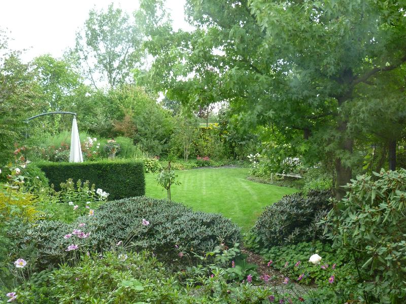 Private Garden project, 2011. Evergreens mixed with perennials and deciuous shrubs add all year interest.